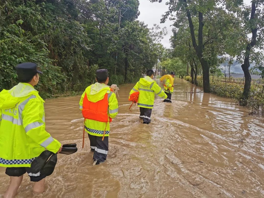 2019年7月20日丽水新闻,丽水新闻快讯