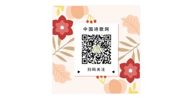 优质文史公众号,精品文史公众号推荐