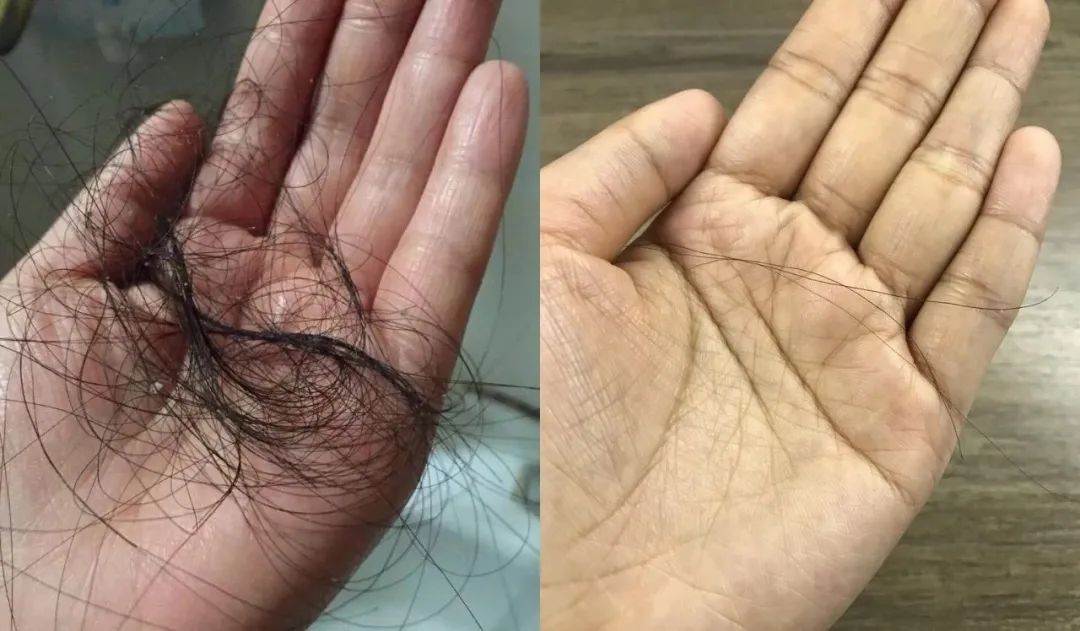 德国旱金莲迷迭香洗发皂,德国何首乌洗发皂