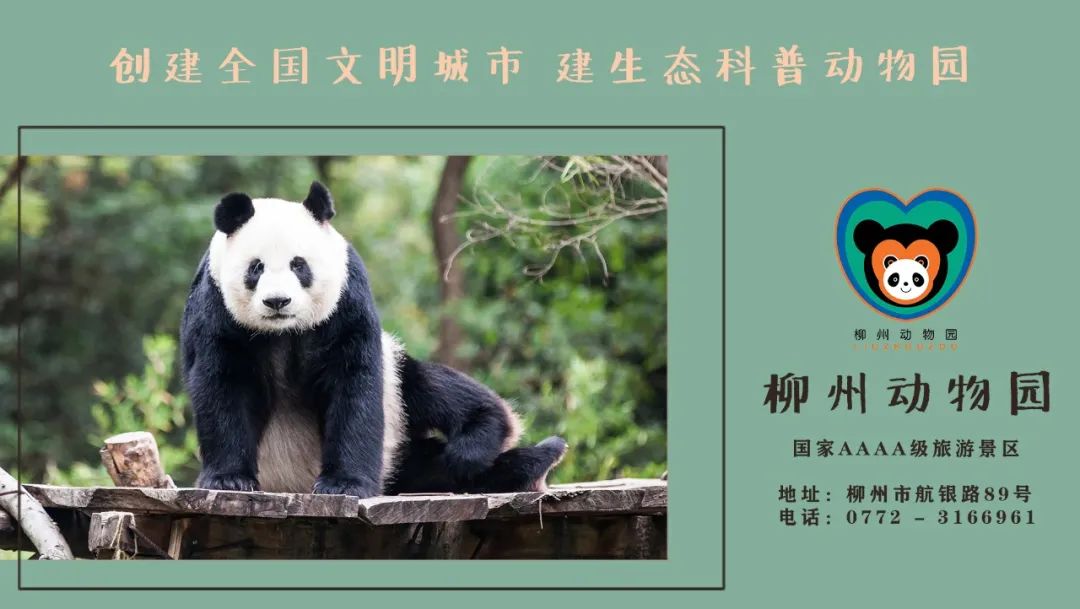 柳州新建幼儿园,柳州市城柳路改造最新进展