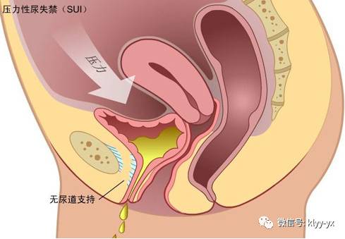 聪明的女人生孩子才会聪明,怎么关心一个刚生完孩子的妈妈