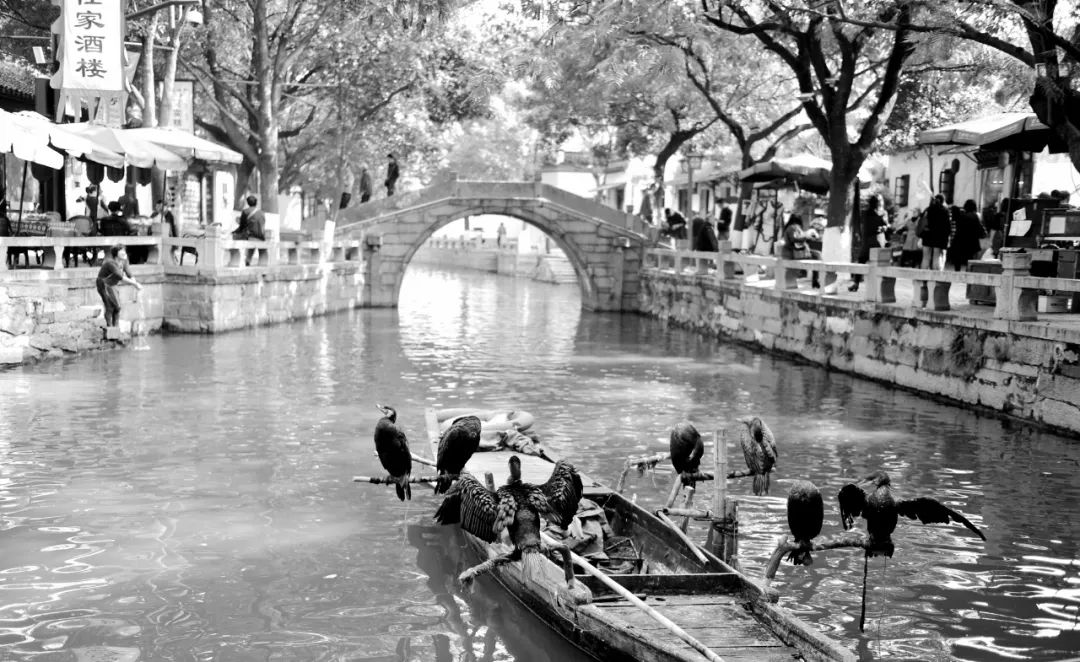 邹逸麟,江南大桥邹逸麟