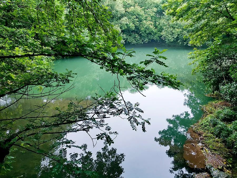 染了彼此乡愁，从此长途跋涉