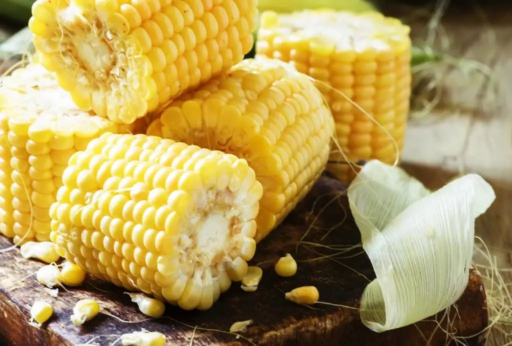 一穿就上瘾的*裤内**!清爽不闷汗,柔软有弹性,下身像风一样自由