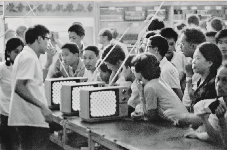 黄桷兰成都,成都黄桷兰多少钱