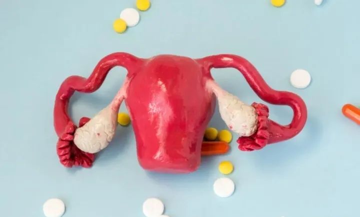 中年女士肚子大的跟怀孕一样,五岁小姑娘肚子突然变大了