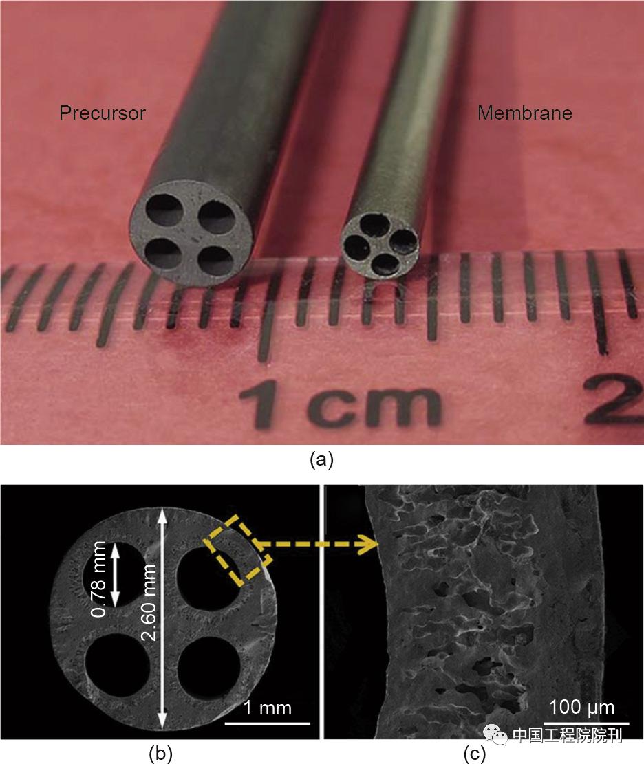 膜生物反应器研究新进展与应用,前沿化学研究课题