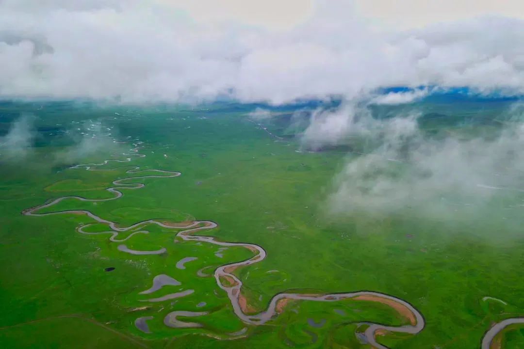 世界草原野奢帐篷酒店,为什么有人愿意住民宿