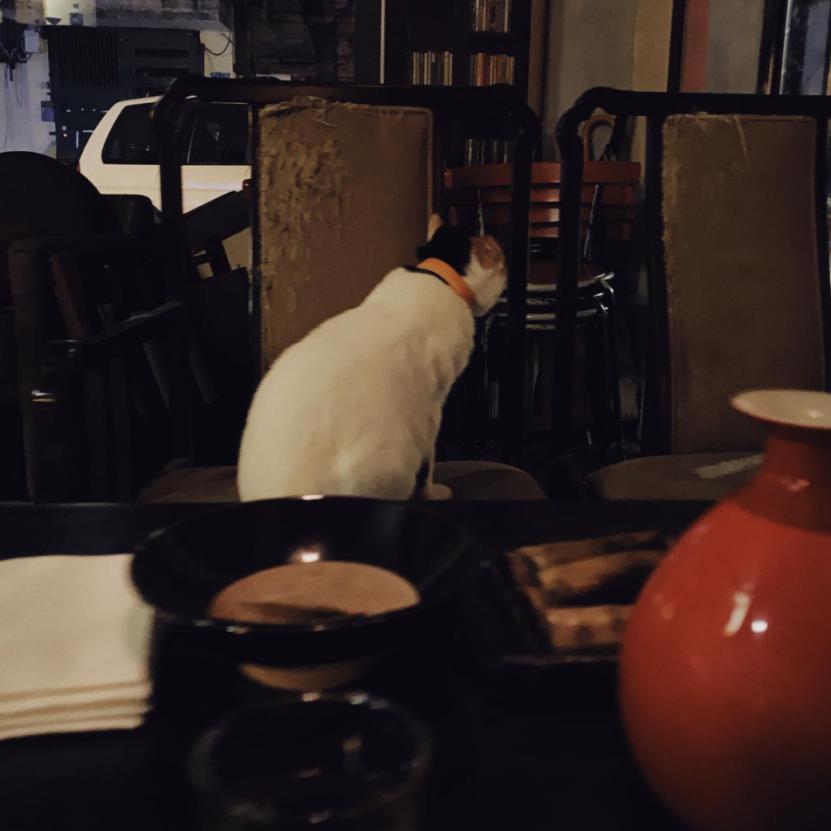 广州夜晚酒吧,在广州陪你度过漫长的夜