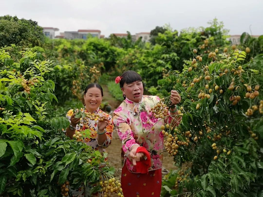走进乡镇群众乐享文化大餐,百姓文化云上蔡