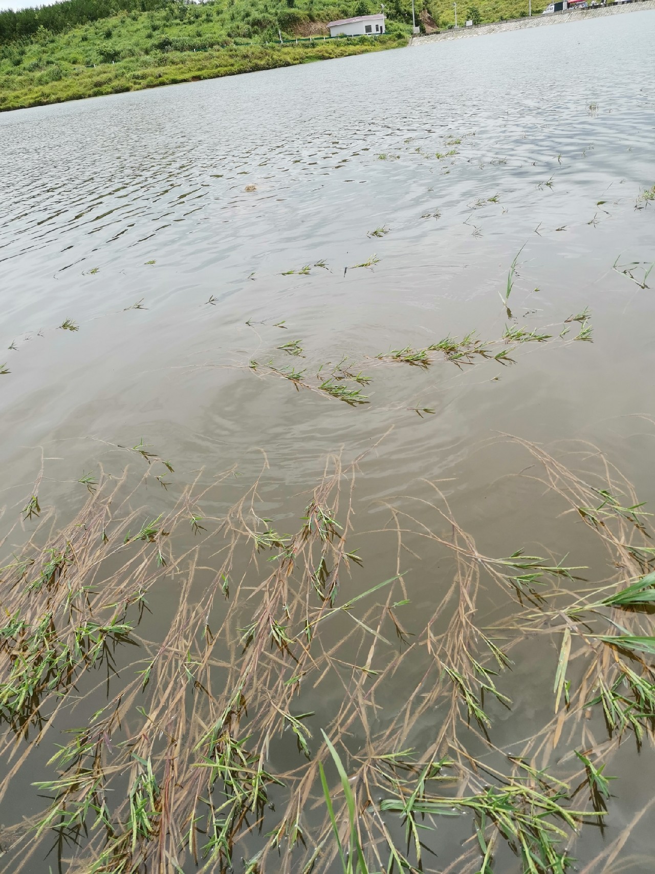 玩了多年的并继和碳素竿，总是在不断的折腾和寻找