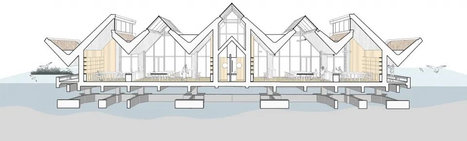 探索崇明东滩湿地公园的奥秘,崇明东滩湿地科研中心