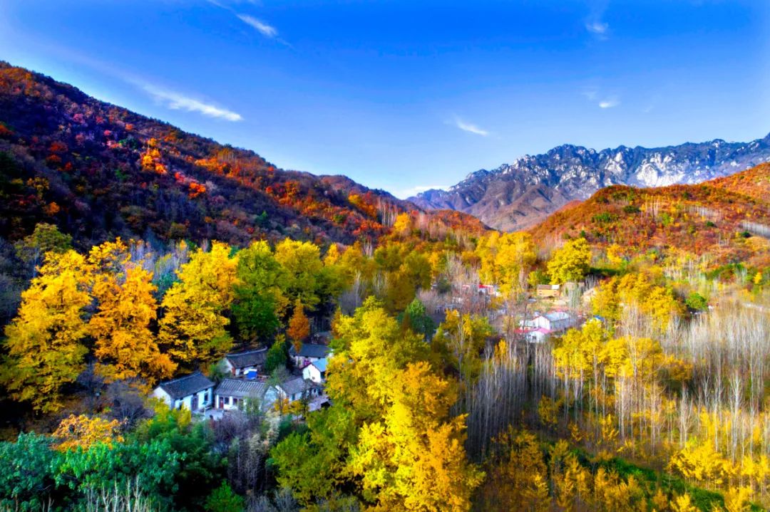 洛阳打卡攻略,洛阳打卡必去的十大景点