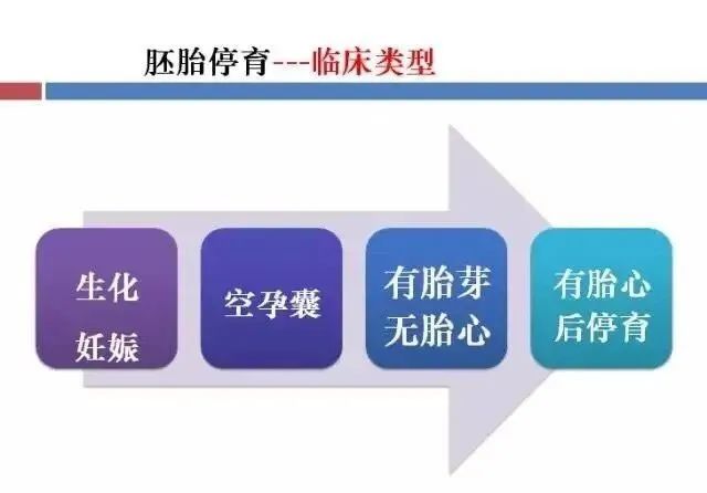 「生殖吧」空孕囊、胚胎停育，究竟是怎么一回事？
