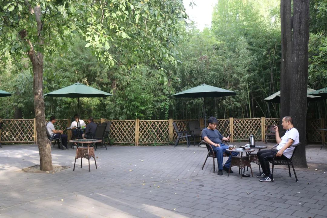 北京市属公园哪些已经开放,北京开放的12家公园