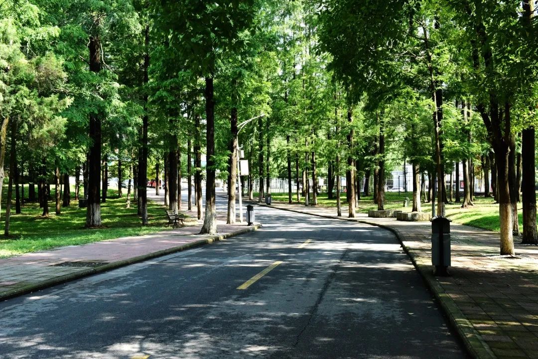 谢邀的英文,谢邀古诗词