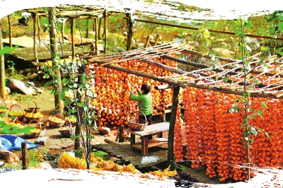 中原战贫小康梦圆丨拂来春风化作雨