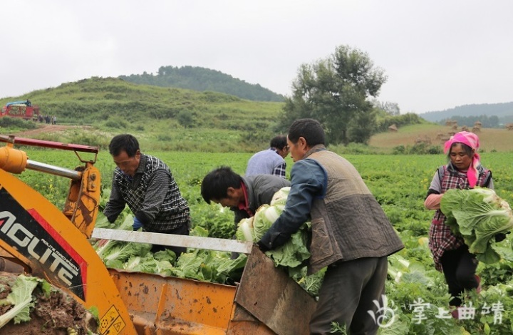椹捐溅涔″ぇ姘存潙瑙嗛,澶ф按鏉戝▋濞冭彍
