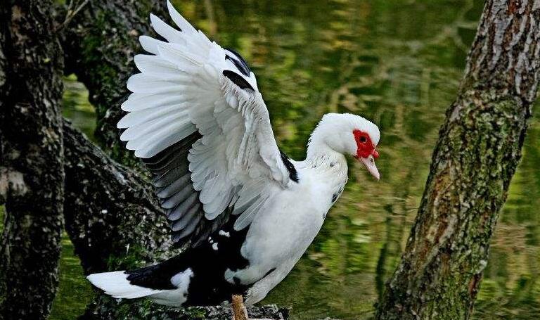 黄石市第一批重要名单,湖北黄石市全省排名