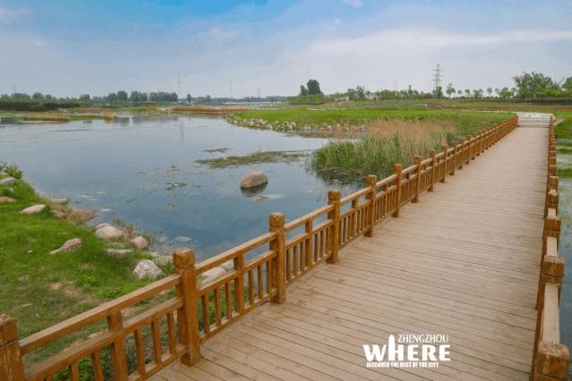 【双语听读】Zhengzhou,whyareyousocharming?郑州，为何如此迷人？