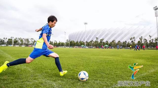 福州市哪些场馆可以免费参观的,福州体育馆哪里有免费开放的