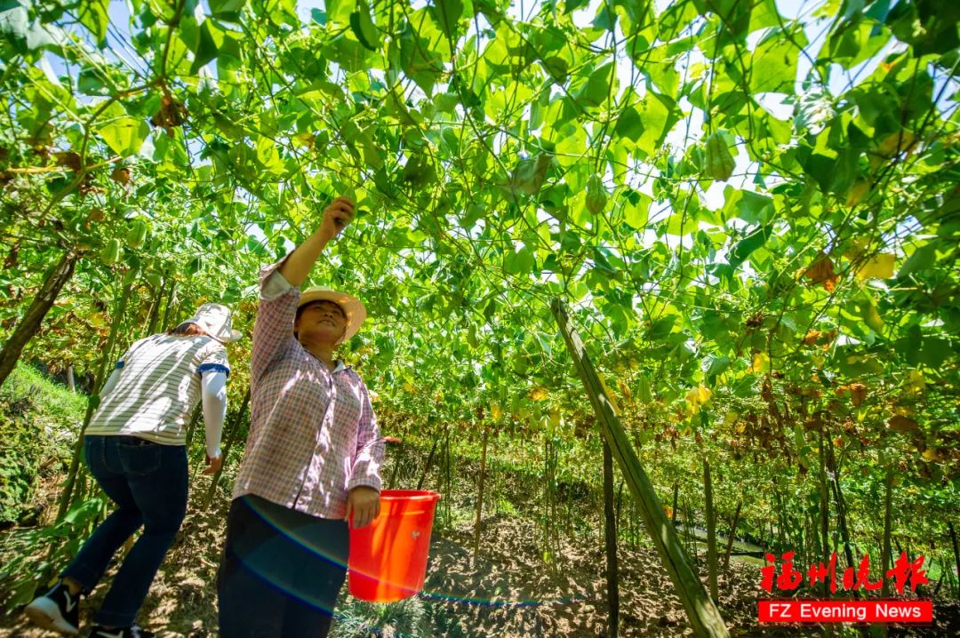 孟浩然过故人庄图片,孟浩然的过故人庄地点