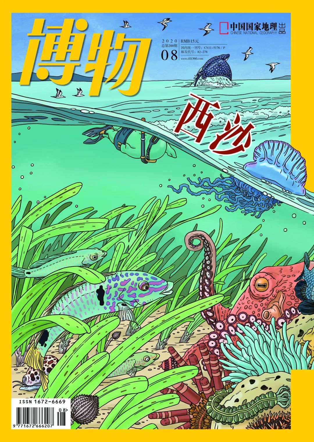 在三沙市居住的真实感受,生活在海南是什么感受