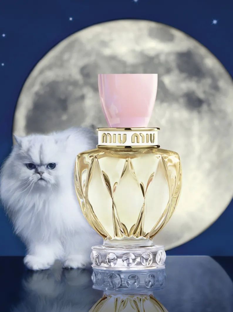 礼物已经选好,礼物已经买好等下次见面