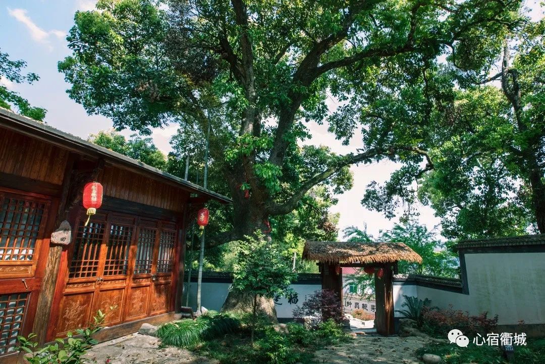 衢州十大顶级民宿,适合冬天去的衢州民宿