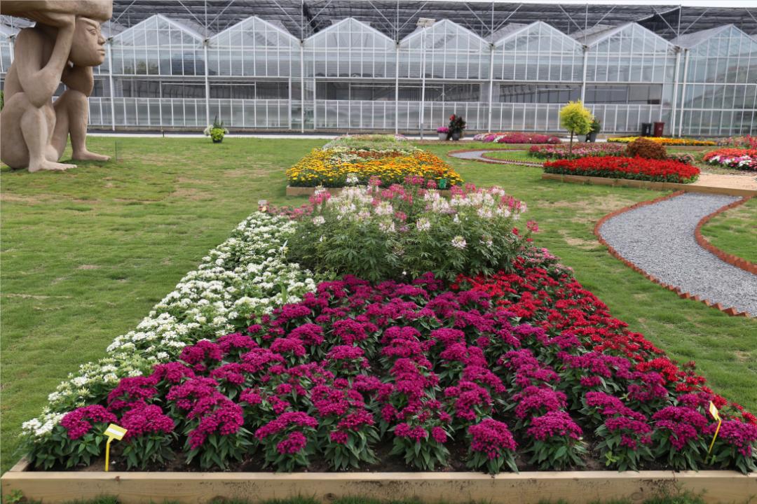 崇明岛比赛直播,上海崇明赛事视频