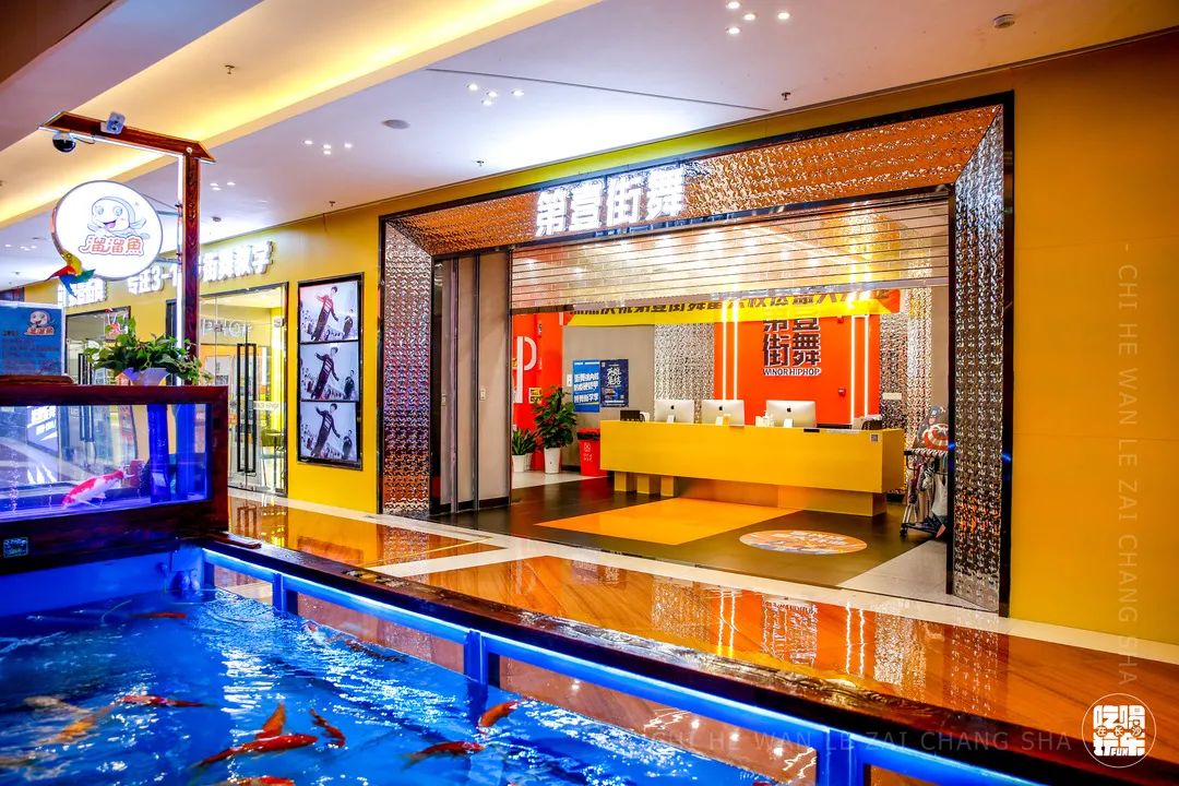 乘风破浪的姐姐们入场,乘风破浪的姐姐们齐现身