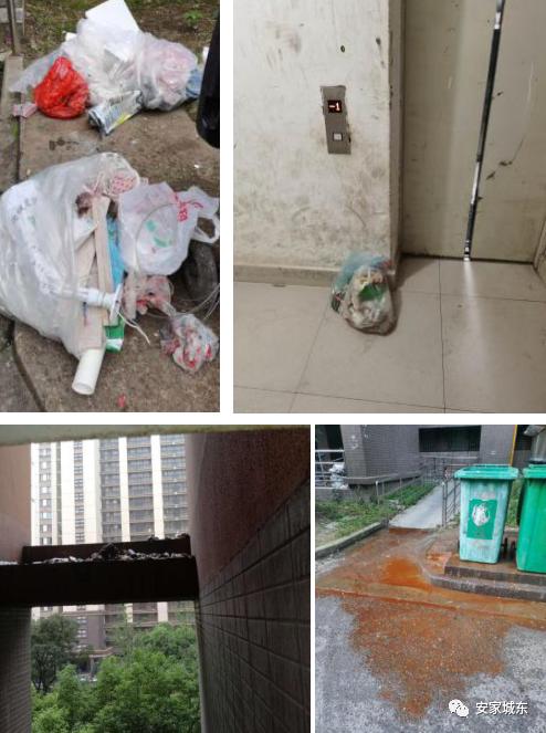 小区堵车物业处理不了,小区内经常堵车怎么投诉物业