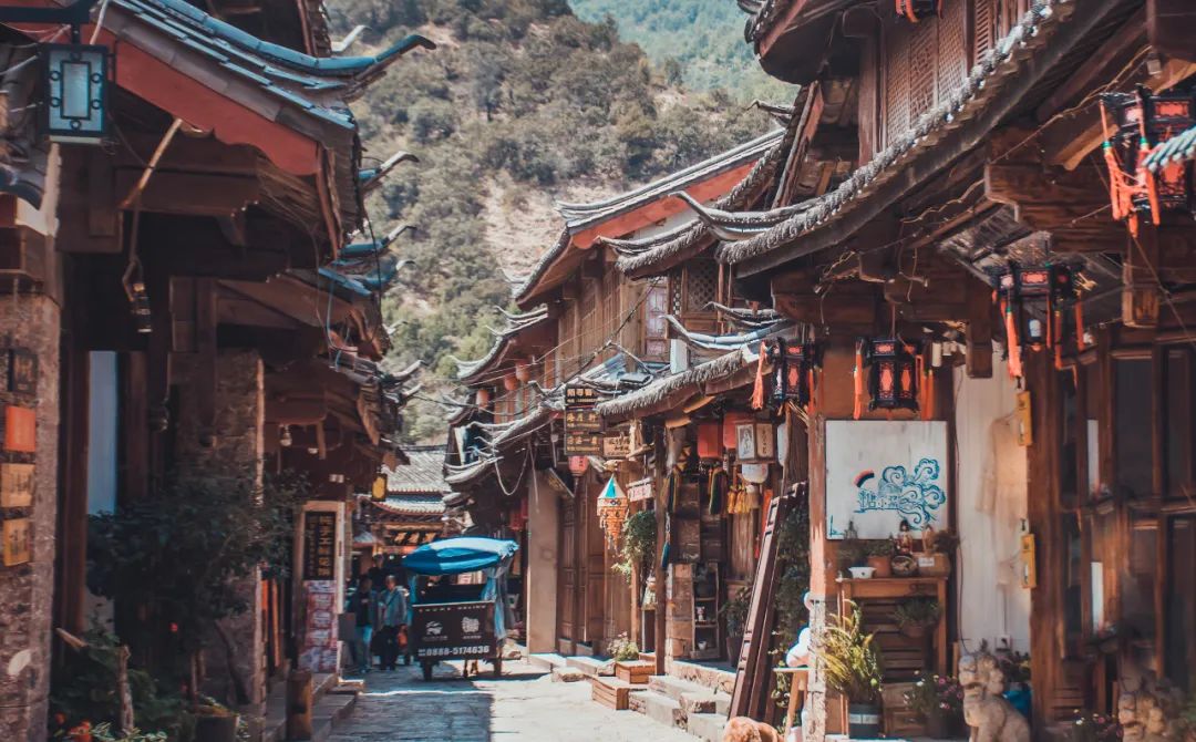 本周之星照片,本周之星视频