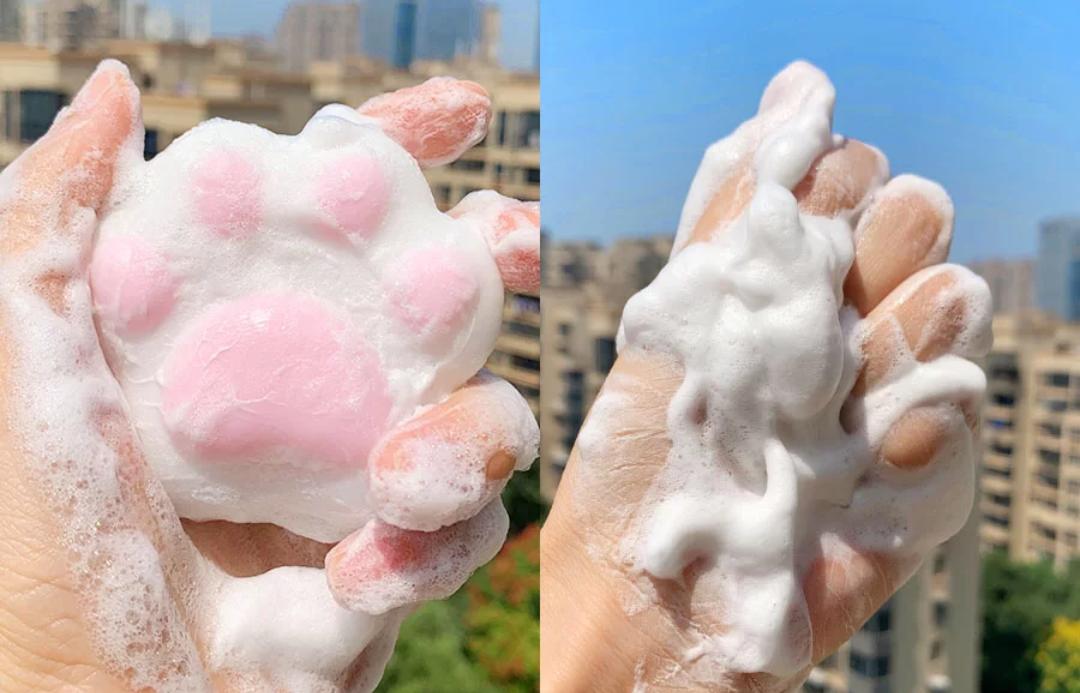 和猫咪接吻会怎么样,猫咪被亲了瞬间感觉不干净了