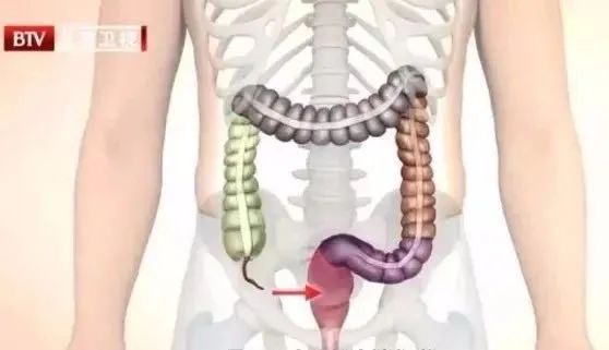 不饿但是肚子老是咕咕叫是为什么,肚子不饿但老是咕咕叫是什么原因