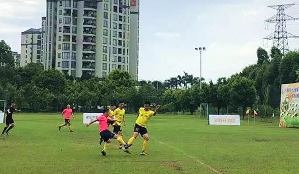 南海区篮球、网球“双科”冠军！大沥体育，就是这么棒！