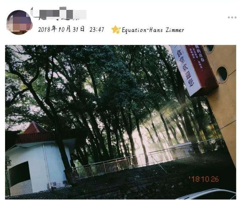 在华师可以学什么,在华东师大读书的体验