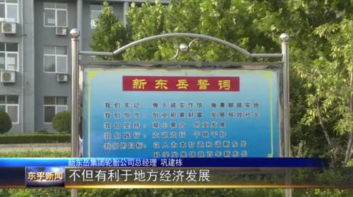 新东岳集团有限公司电话,东平县新东岳集团