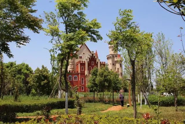 昆明湿地公园网红打卡地,昆明周边网红打卡地一日游