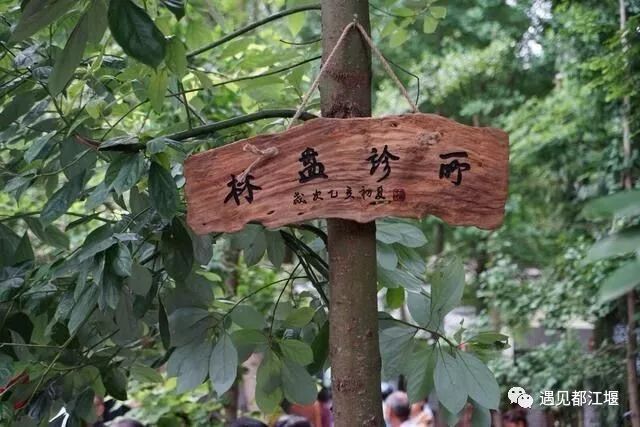 鏋楃洏璇婃墍,鏋楃洏璇婃墍鐜板湪鎯呭喌