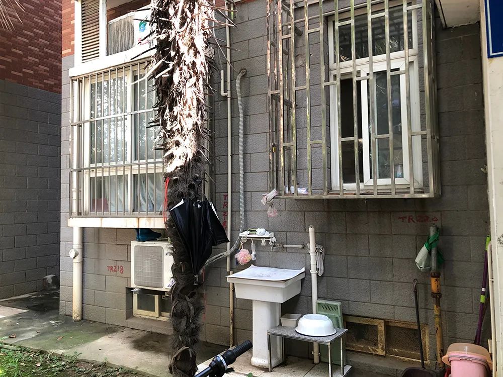 惊！南京三线“草小”成功逆袭，业主膨胀却不被认可，真相...