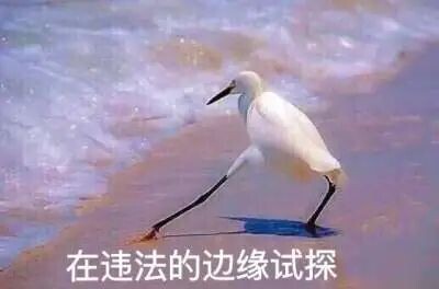 留学生带行李回国被判死刑,留学生带化妆品怎么处罚