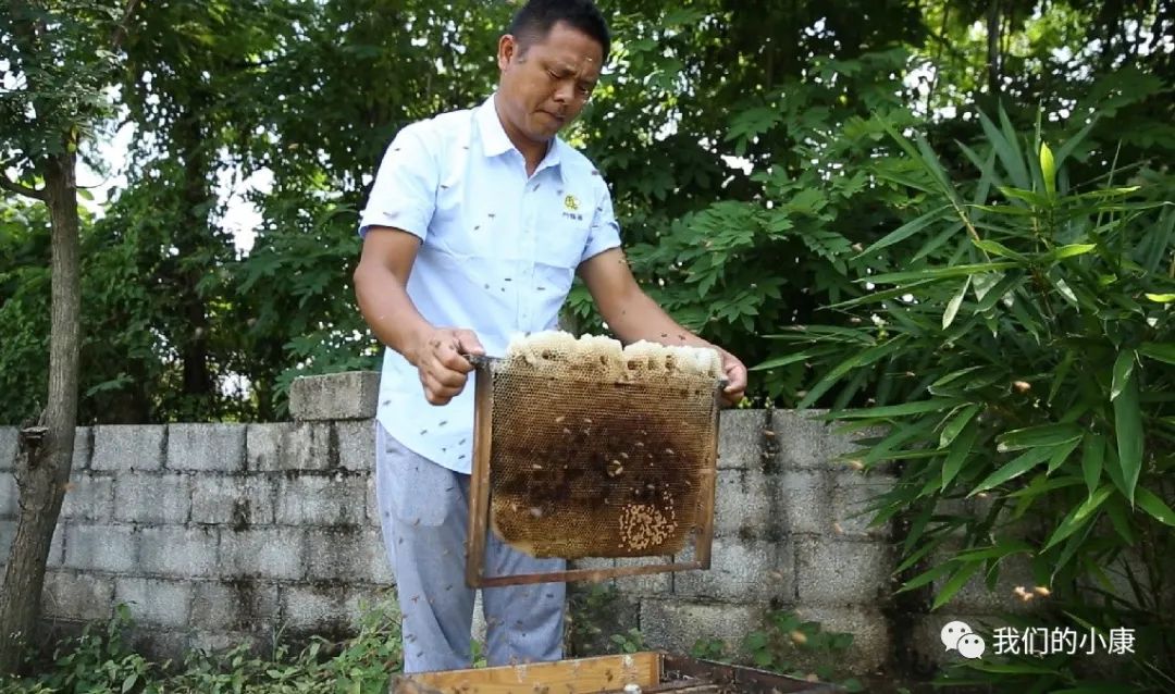 让数据多跑路让民众少跑腿,让数据多跑路让老年人少跑腿
