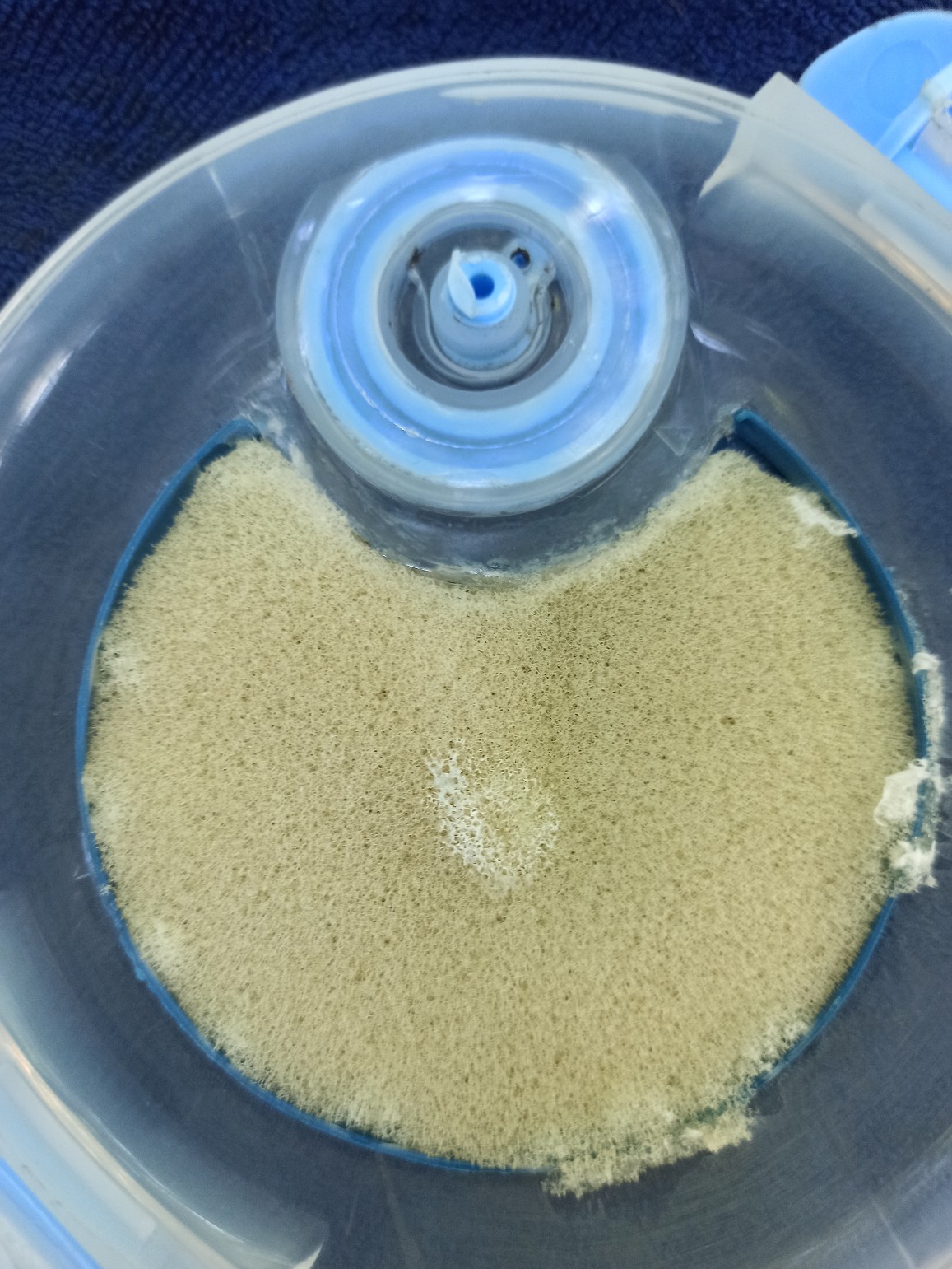 用废弃盒子做蚯蚓盒,手工做蚯蚓盒