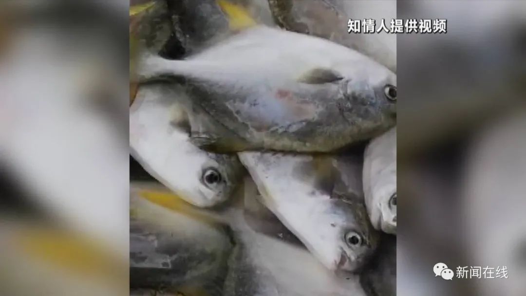 南宁轨道交通15条线地图清晰版,南宁轨道交通最新消息