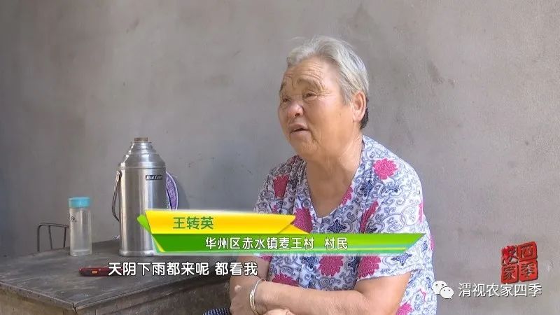 华州区赤水镇麦王村第一书记马信：好执行力炼就工作高标准