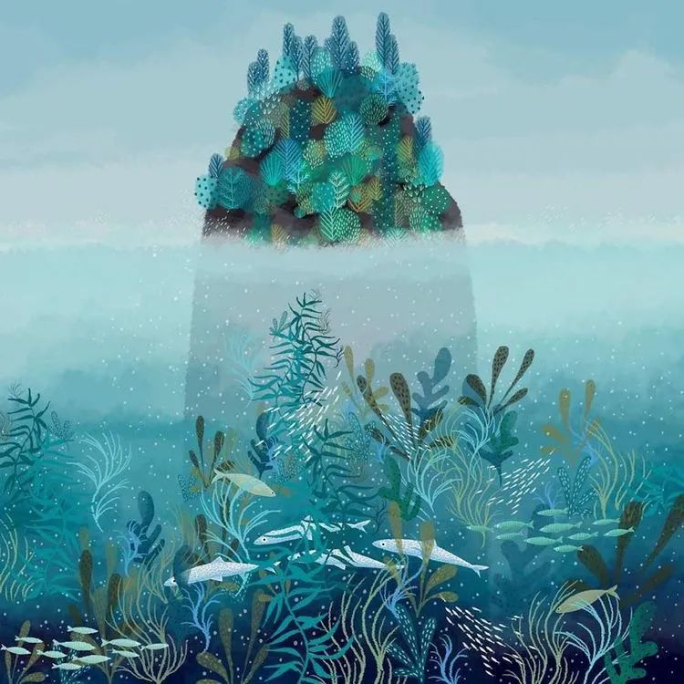 海洋护肤成分,深海植物护肤精粹