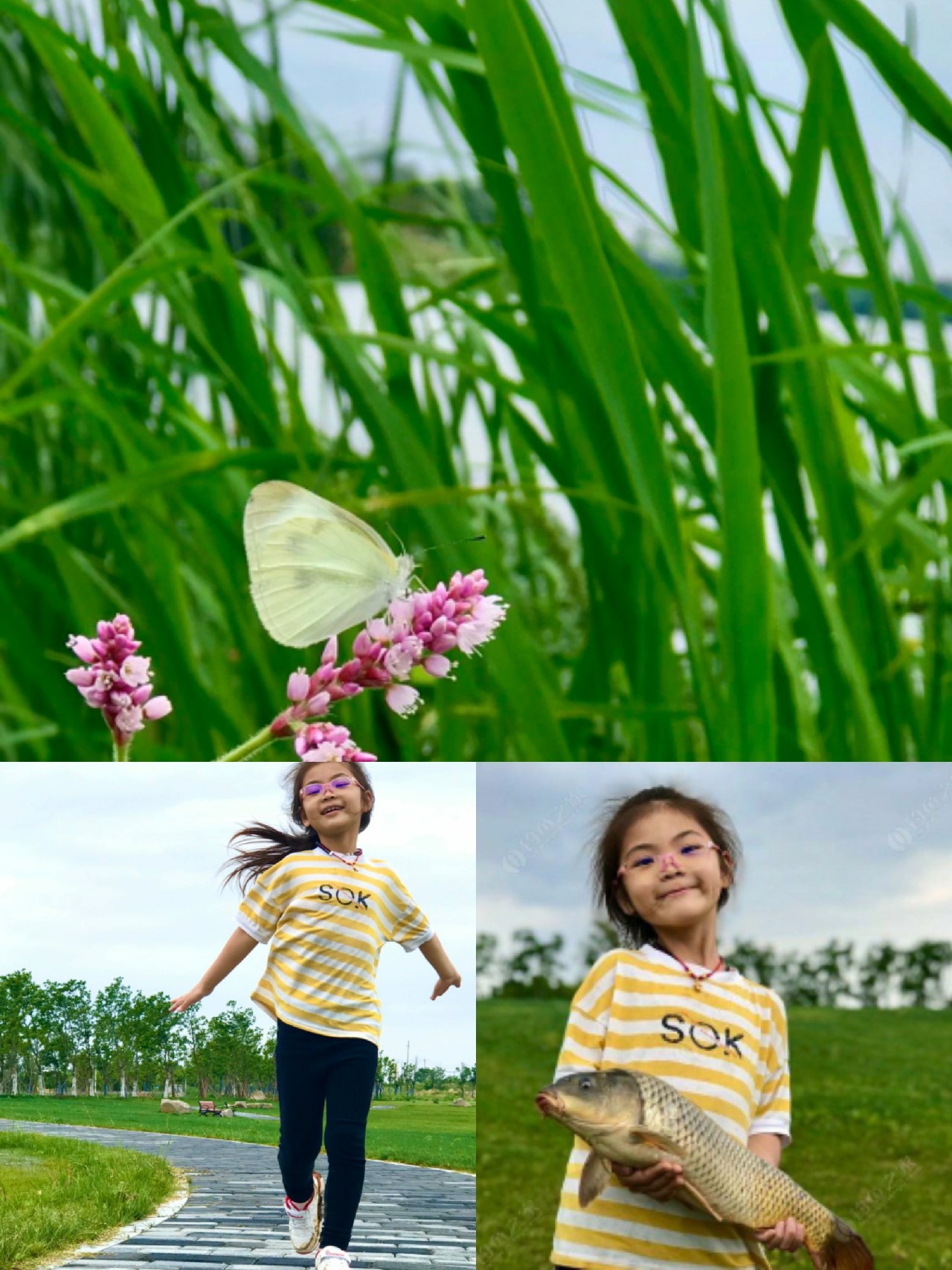 钓鱼人818完整视频,钓鱼人818攻略