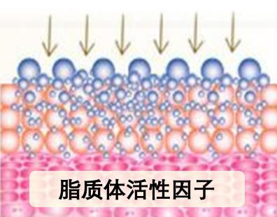 冻干护肤品评测,冻干粉护肤真的有效吗
