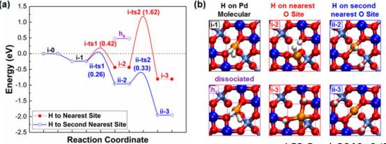 cp2k免费课程app,cp2k